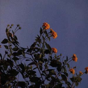 ❤️嫩草影院入口❤️
